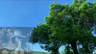Legyen szabad будь свободен - Dr Dorado Композитор /2024/