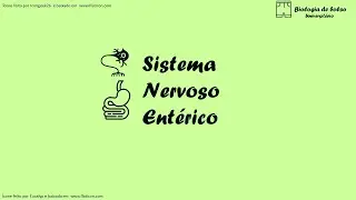 Sistema Nervoso Ent&eacute;rico