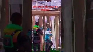 Bull shark no scopes player in plat 3 #fortnite #forntinekills #box #fortniteclips