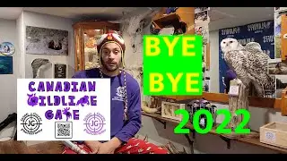 2022 wildlife photography year wrap Jason George Photography