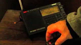 Tecsun PL 600 and Degen 31ms Active Loop Antenna