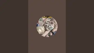 Gold field Hunting is live