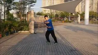 Wu Style Tai Chi Chuan - 108 Movement Joint (standard) Form