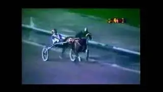 1988 Northfield Park JAGUAR SPUR Invitational Pace World Record