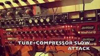 Make your synth sound vintage with MindPrint En-Voice Channel strips