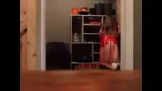 Jenna Joseph getting scared #3