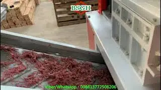 Dual Shaft shredder machine | Pre-crusher Machine| Copper Wire Separator Machine | BSGH EQUIPMENT