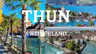 Reel Happy Travellers in Lake Thun Switzerland