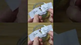 Combining 2 characters - Pluto & Darwin