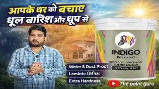 दिवाल को दे सम्पूर्ण सुरक्षा,Indigo dirtproof & waterproof Exterior laminate के साथ।#thepaintguru