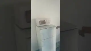 Tennis ball in microwave gone wrong