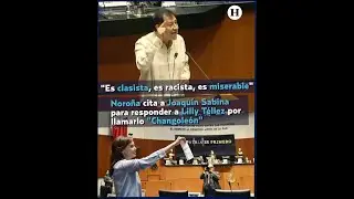 Noroña responde a Lilly Téllez por llamarlo 