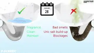 P Screen&Acirc;&reg; 60 Day Urinal Screen   EMEA Video