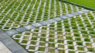 Grass Pavers/ #nature #pavers #viralvideo #garden #home #grass #landscape #shorts