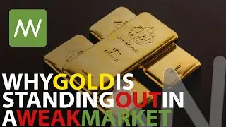 Mission Winners Guide to Gold Stocks: Finding Strength in a Weak Market