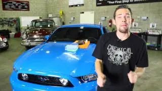 Chemical Guys Blacklight Hybrid V7 - Paint Protection - Chemical Guys Car Care Mustang GT