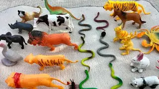 Plastic Animals Toys Unboxing Order Flipkart || All Size Animals Toys Unboxing Video