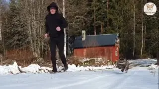 This Racing Cat Tries to Beat Her Human Daily | Heartwarming Animal Stories