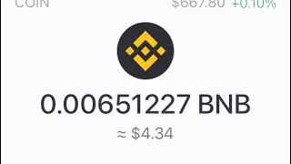 How to buy SAFEMOON with BNB using Trust Wallet & Pancake Swap 🥞 on iPhone