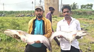 Big fish ballu panga fishing rekord size fish jinda chare ka shikar