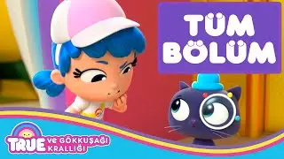 Büyük Ahududu Gizemi - TÜM BÖLÜM - True ve Gökkuşağı Krallığı 🌈  Çizgi Film - Cartoon Network