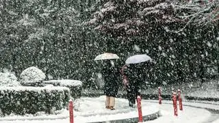 폭설 속에 당신과 갇히던 날 우린 꼼짝못하는 눈사람이 되었다