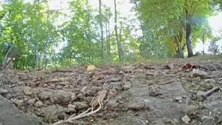 Clip 3/3: Final Clip (stretched w/ Elecam SW + Metadata Injector) Elecam 360
