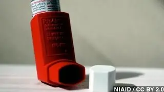 Do Asthma Inhalers Stunt Growth In Children?
