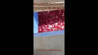 Multifunction Intelligent Color Sorter for Chili/red pepper #sortingmachine #machine #gradingmachine