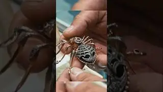 A Stunning Vintage Faberg&eacute; Spider Brooch | Pawn Stars