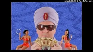 Jihad Jerry & The Evildoers - Army Girls Gone Wild