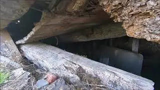 Original Log Cabin Exploration, The Law Office of Samuel Powell, Rogersville Tennessee.