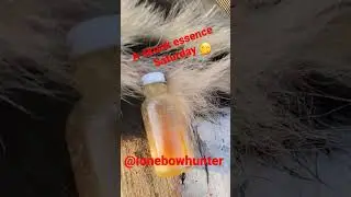 pulling skunk essence for new perfumes🤣🤣@lonebowhunter
