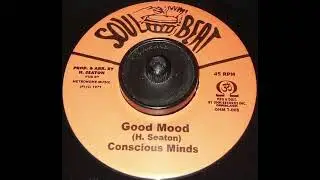 Conscious Minds - Good Mood 