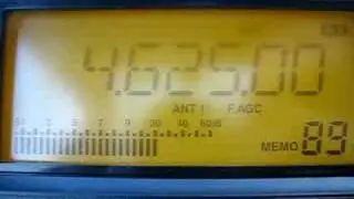 S28, UVB-76, The Buzzer