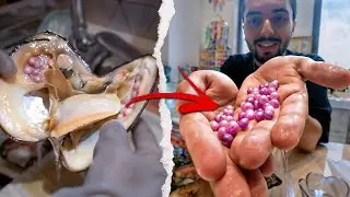 استخراج اللؤلؤ من المحار (سبحان الله) 😯| DIY Pearl Jewelry
