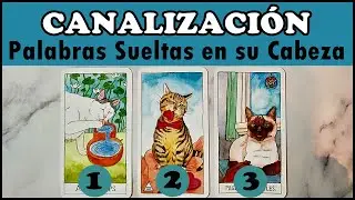 CANALIZACI&Oacute;N 💗 &iquest;QU&Eacute; ME DIR&Iacute;A SI PUDIERA? 💌 Tarot Interactivo Hoy