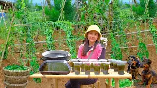 Harvest Velvet Leaf Jelly Leaves and Pandan Leaves to Make Jelly Goes To Market Sell - Farm.