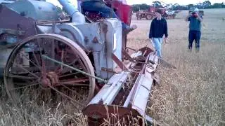 Antique 1937 Sunshine Auto-Harvester in action harvesting wheat