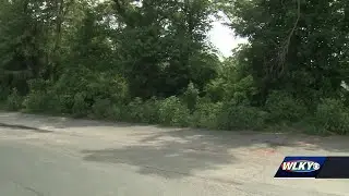 Animal control investigating after 2 dead dogs found in trash bags behind business