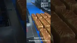Baking production line customization, baking equipment, baking solutions，WhatsApp+8619924659979.