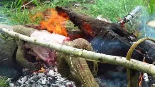 Primitive Technology   Find Monitor Lizard in Forest   grilled Monitor Lizard eating delicious