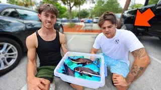 We EXPOSED this illegal scam..