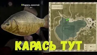 КЛЁВОЕ МЕСТО КАРАСЬ • Russian Fishing 4