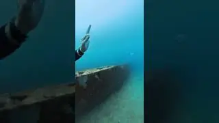 Deep Blue Adventure&Aviation SCUBA trip to Florida Panhandle