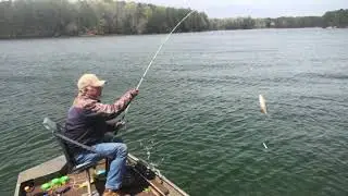 Serching For The Bigger White Perch