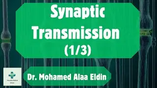 شرح بالعربي | Synaptic Transmission Part (1/3)