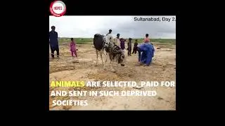 HOPES IQ(WAQF) CAMPAIGN 🐮