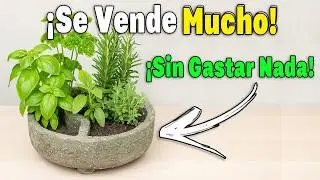 El Mini Jard&iacute;n Que Est&aacute; Dando Dinero R&aacute;pido &ndash; Aprende a Hacerlo en Casa