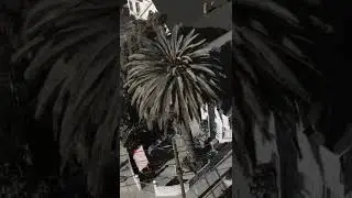 SanFrancisco Bay Area Drone B ROLL